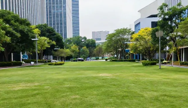 财税合规咨询:信息准确性对选型的影响分析